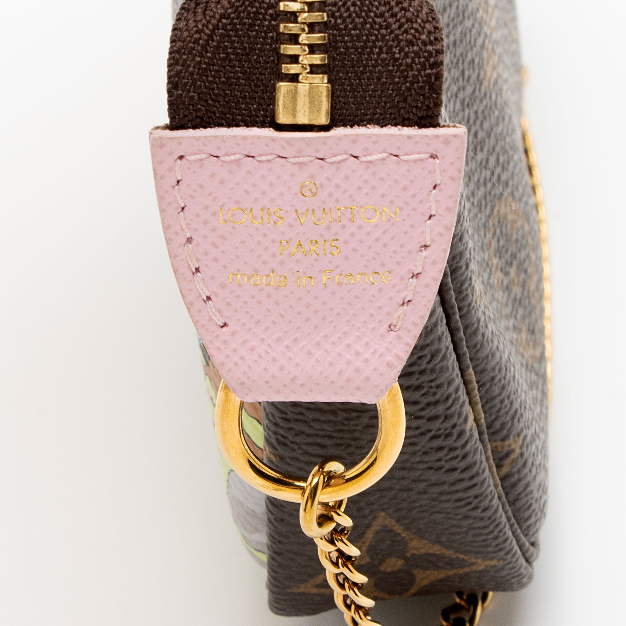 Louis Vuitton Monogram Canvas Vivienne Japanese Garden Mini Pochette Accessories