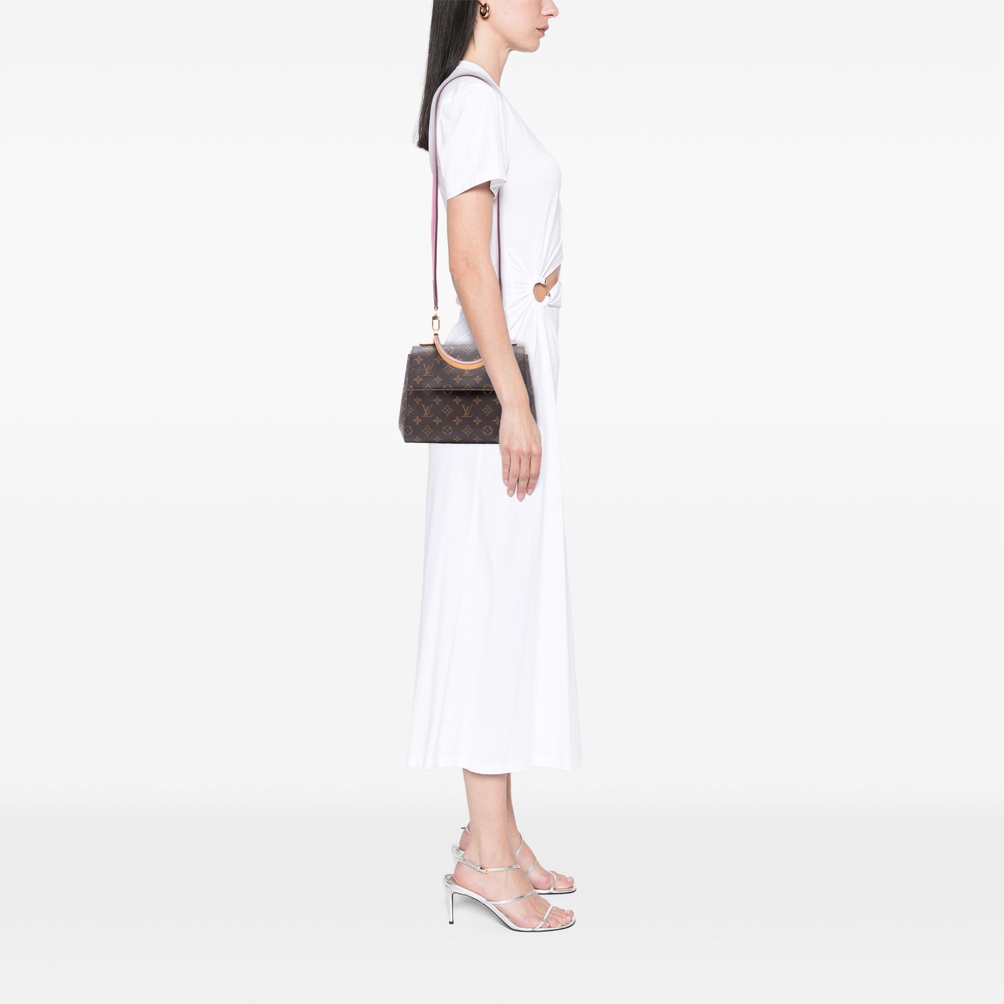 Louis Vuitton Monogram Cluny BB