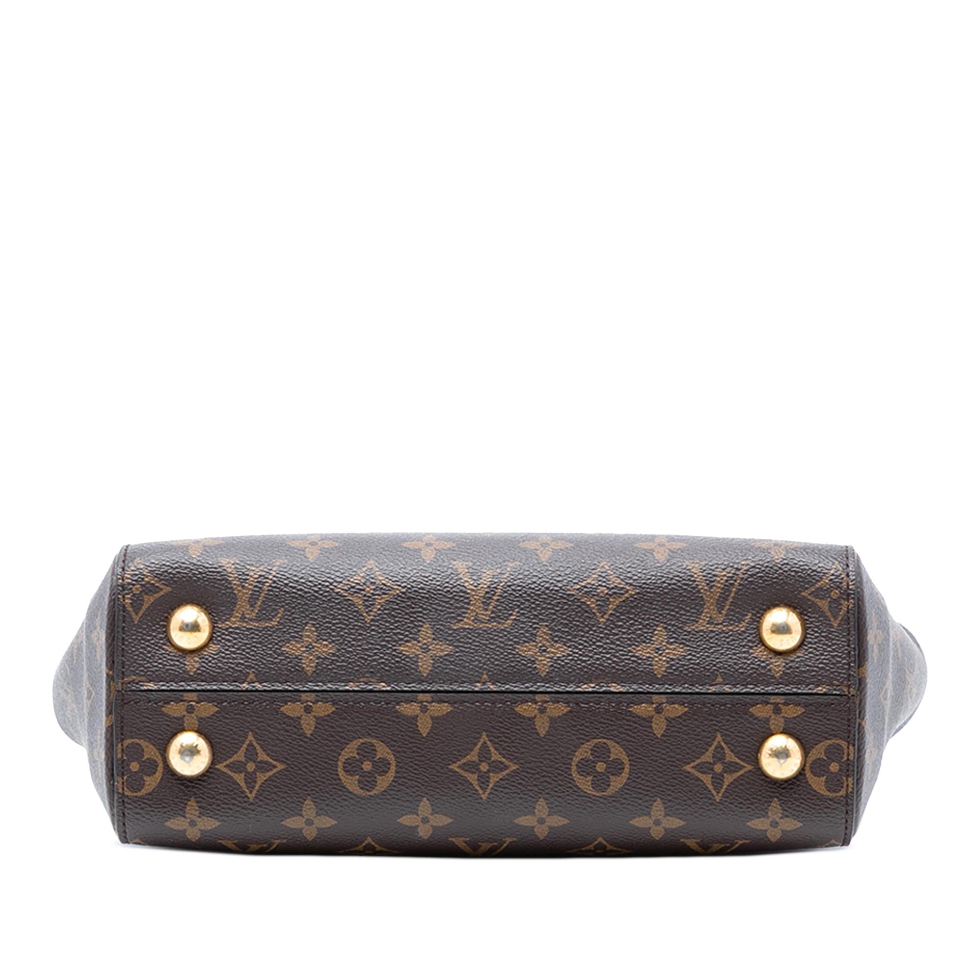 Louis Vuitton Monogram Cluny BB