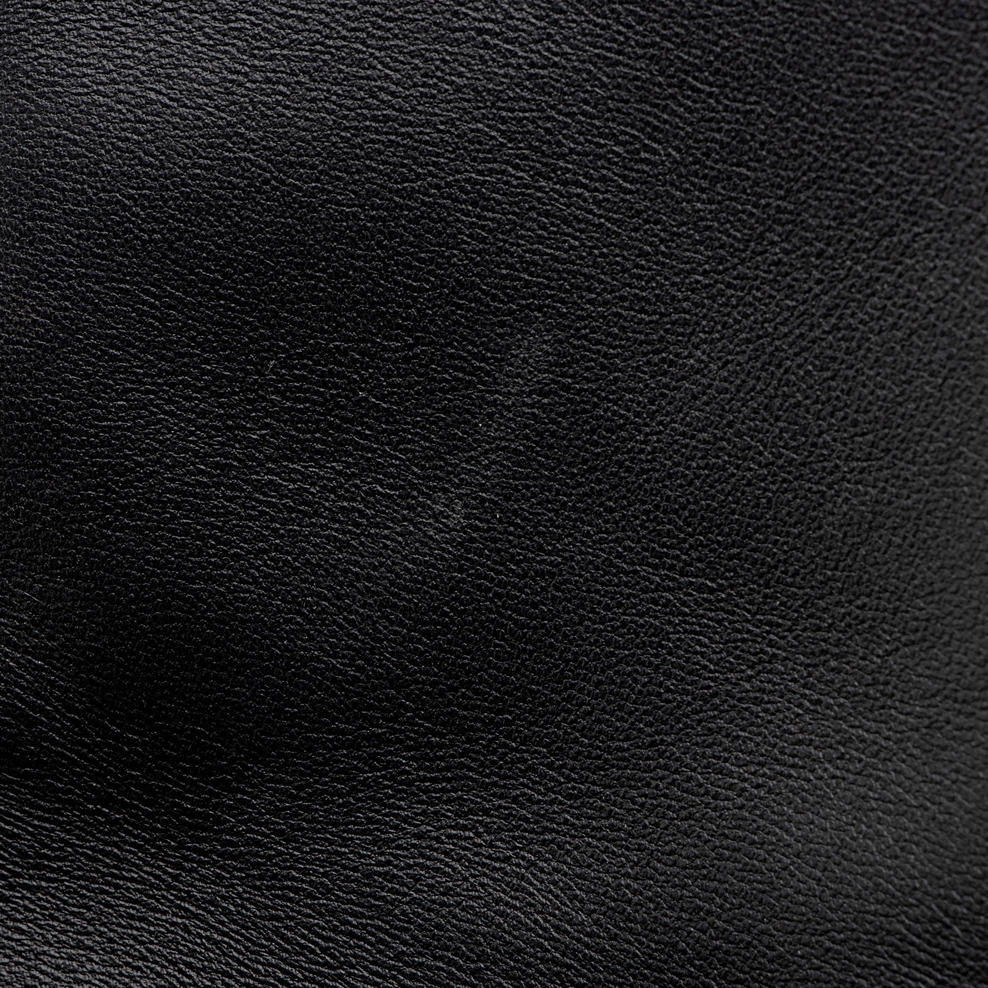 Louis Vuitton Monogram Embossed Lambskin Coussin Pochette (SHF-cmWPKU)