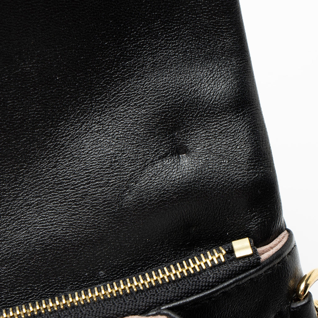 Louis Vuitton Monogram Embossed Lambskin Coussin Pochette