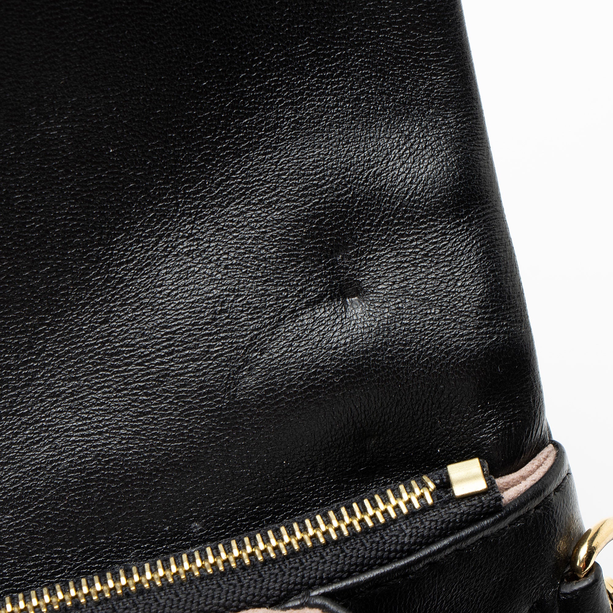 Louis Vuitton Monogram Embossed Lambskin Coussin Pochette