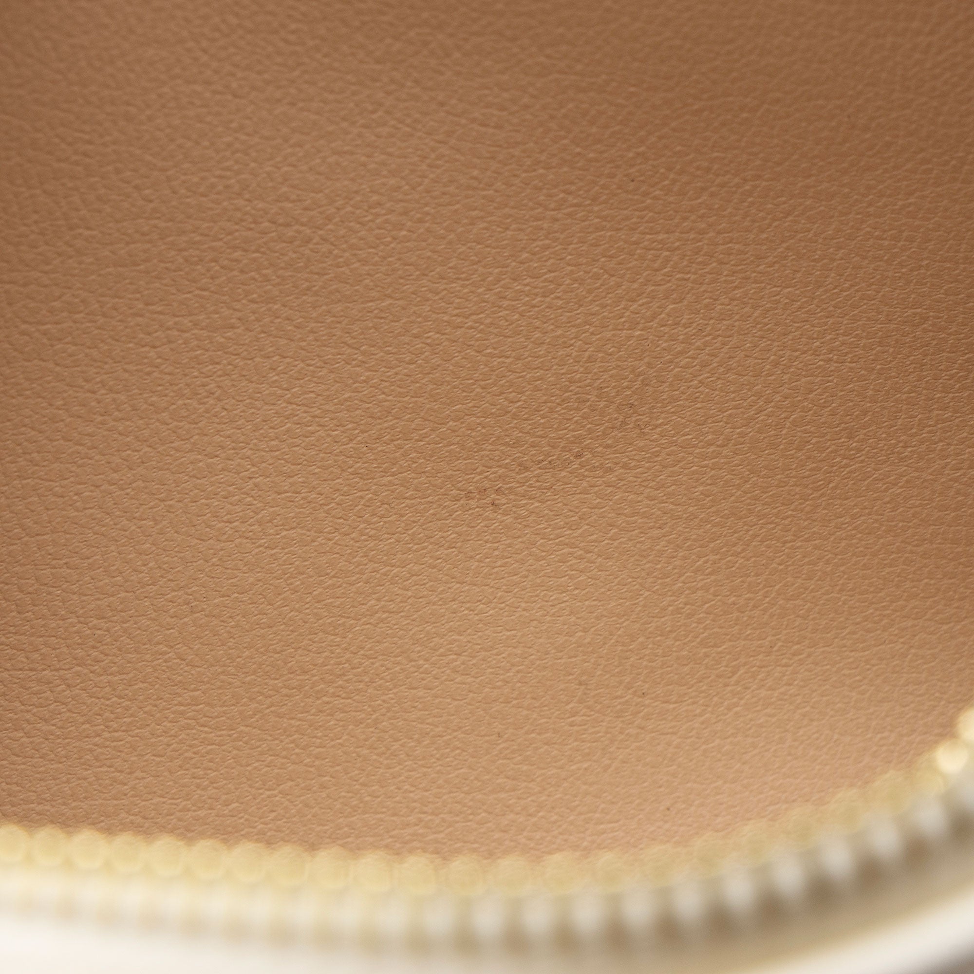 Louis Vuitton Monogram Embossed Lambskin Milky Way Coussin BB Shoulder Bag