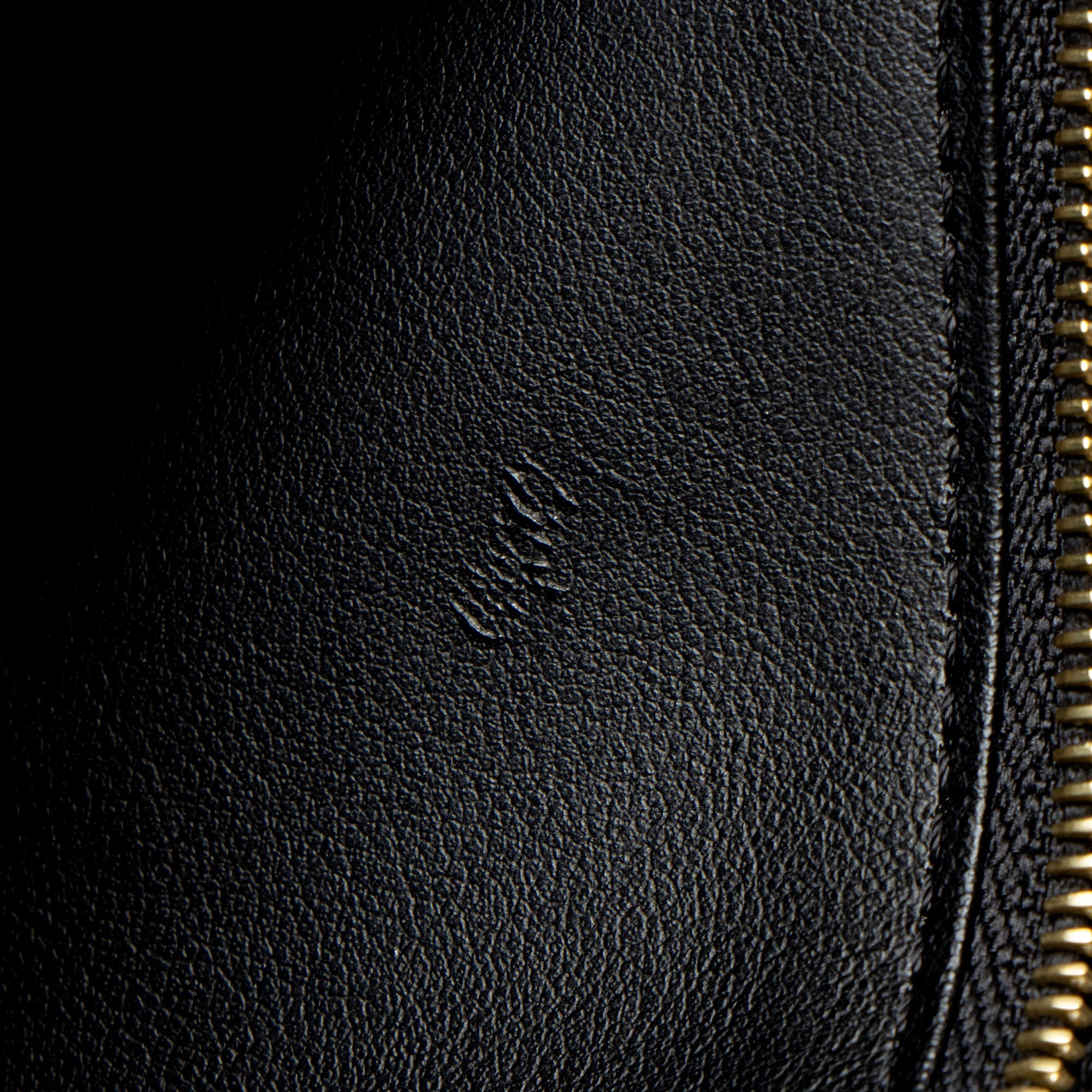 Louis Vuitton Monogram Empreinte Clemence Wallet