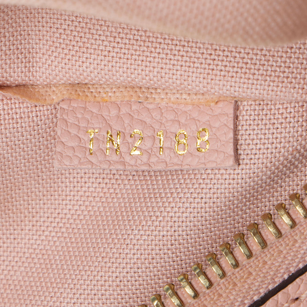 Louis Vuitton Monogram Empreinte Daily Pouch
