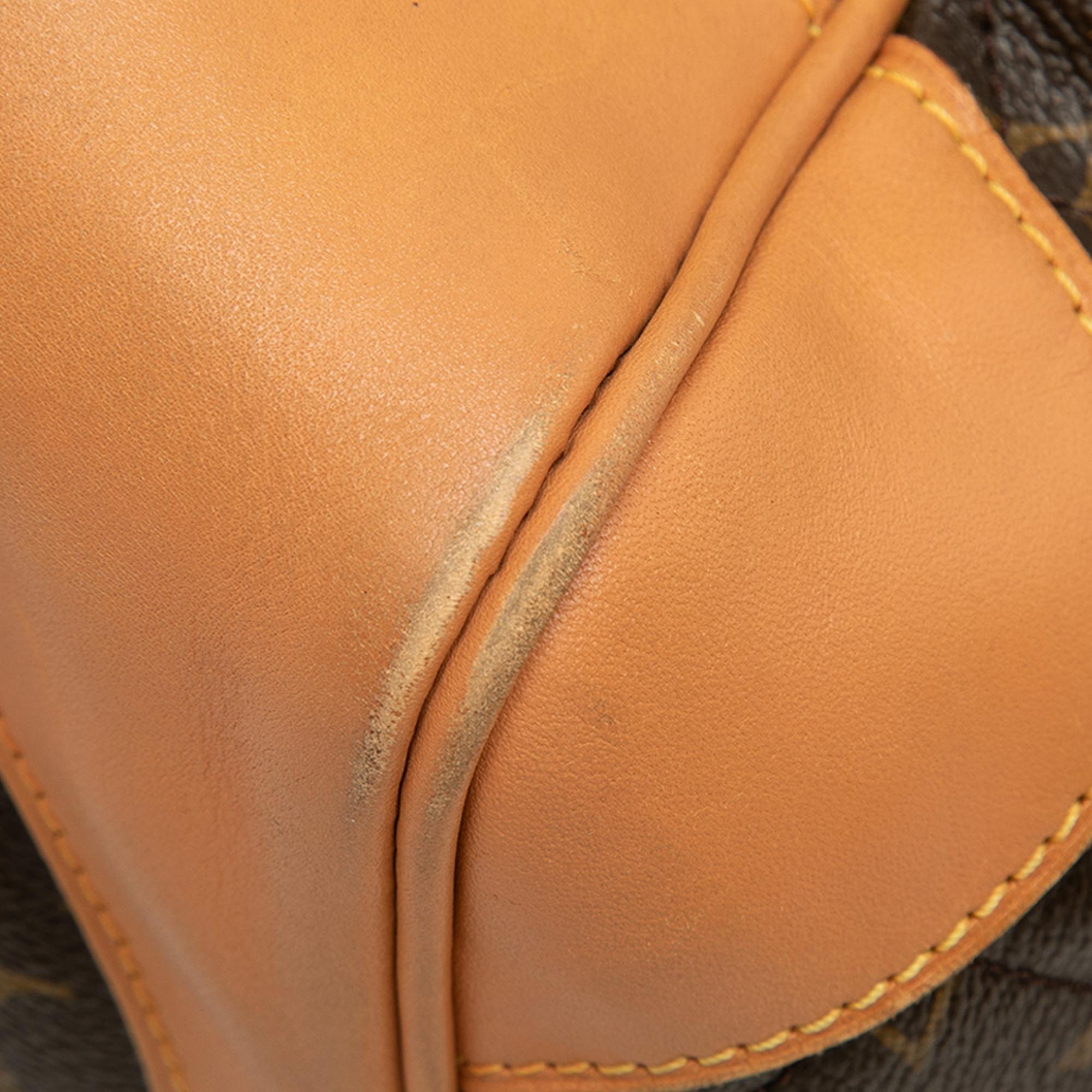 Louis Vuitton Monogram Etoile Shopper