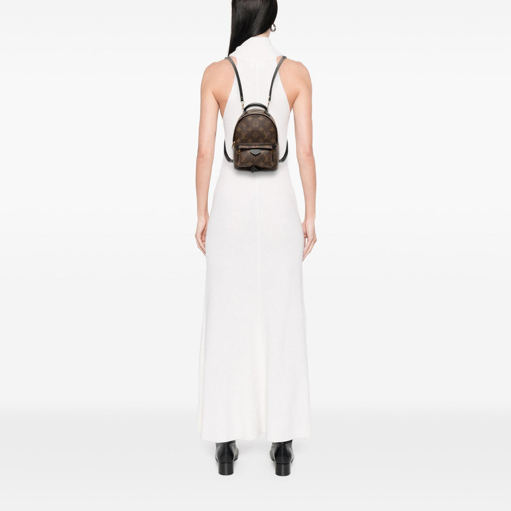 Louis Vuitton Monogram Mini Palm Springs