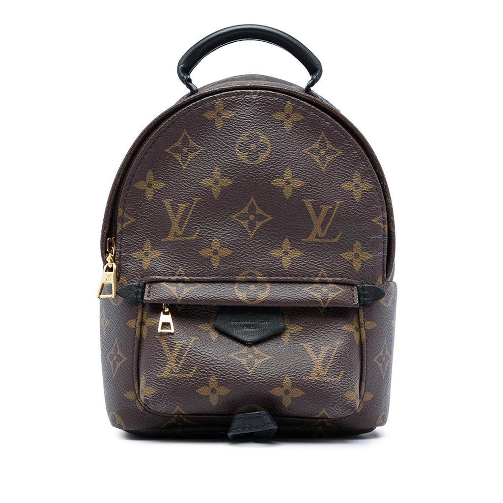Louis Vuitton Monogram Mini Palm Springs