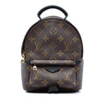 Louis Vuitton Monogram Mini Palm Springs