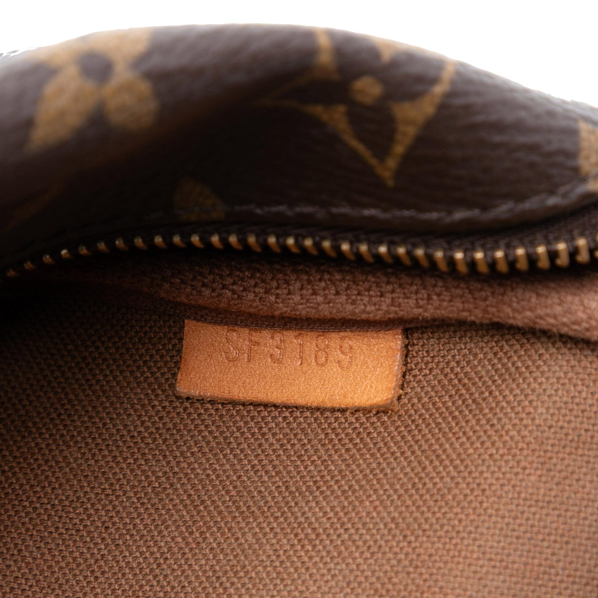 Louis Vuitton Monogram Mini Pochette Accessoires