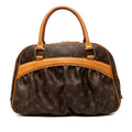Louis Vuitton Monogram Mizi