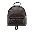 Louis Vuitton Monogram Palm Springs MM