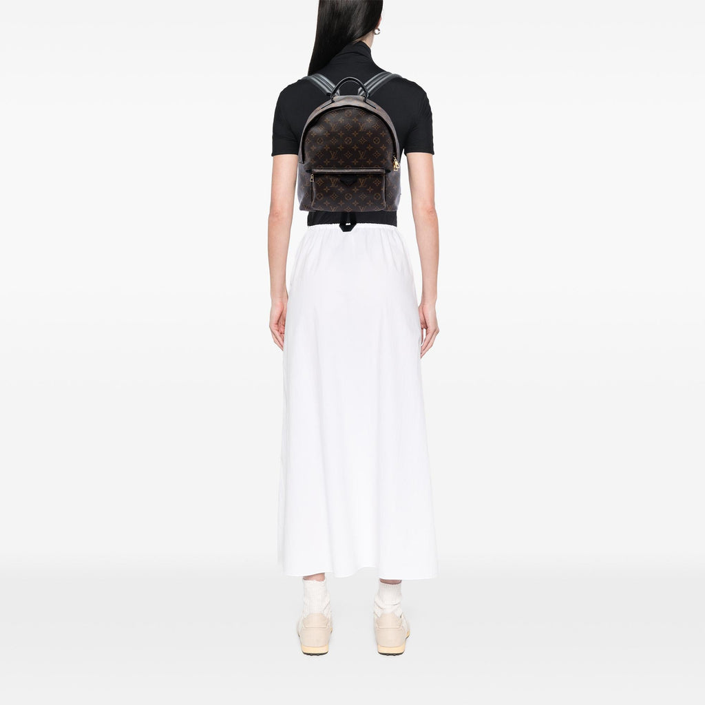 Louis Vuitton Monogram Palm Springs MM