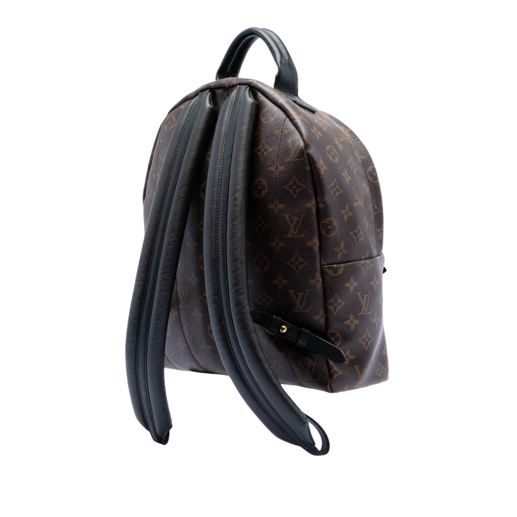 Louis Vuitton Monogram Palm Springs MM
