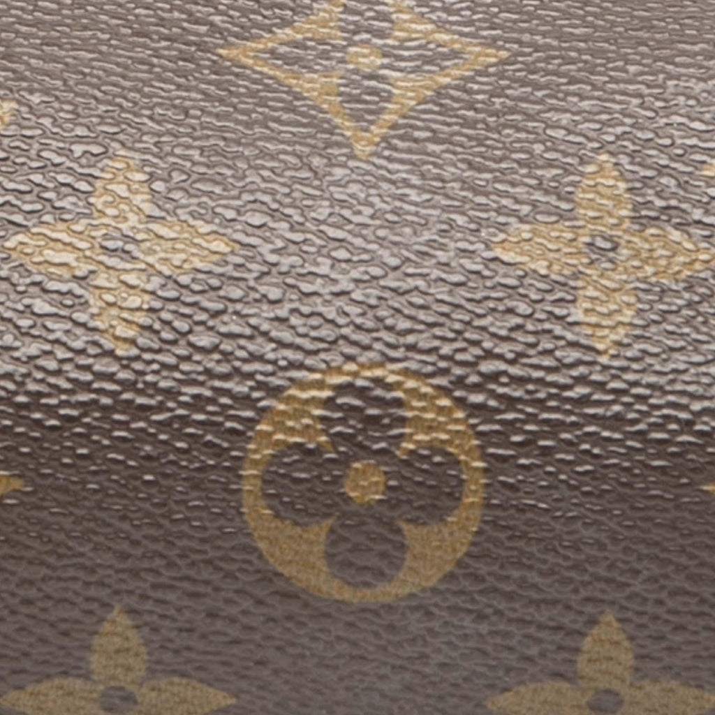 Louis Vuitton Monogram Papillon Pochette