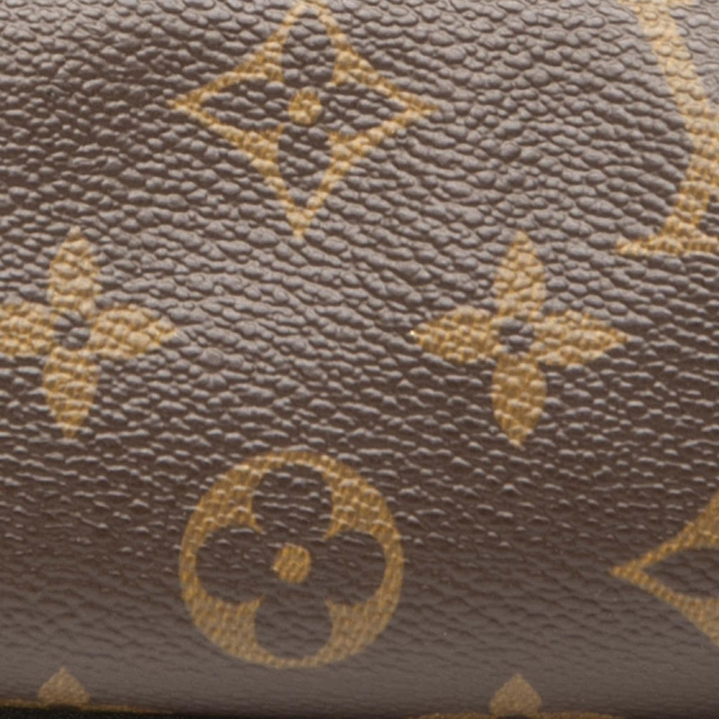 Louis Vuitton Monogram Papillon Pochette