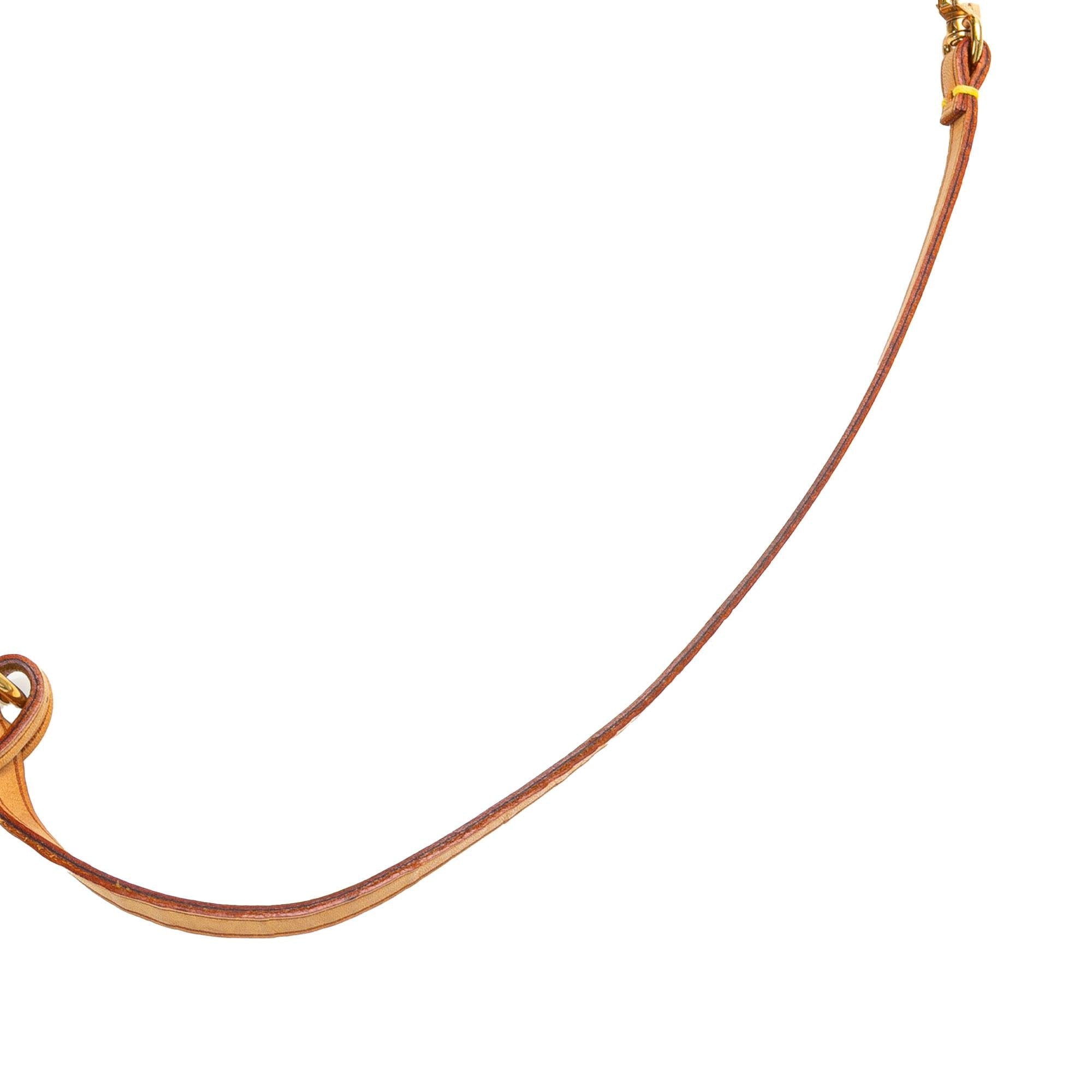 Louis Vuitton Monogram Pochette Accessoires