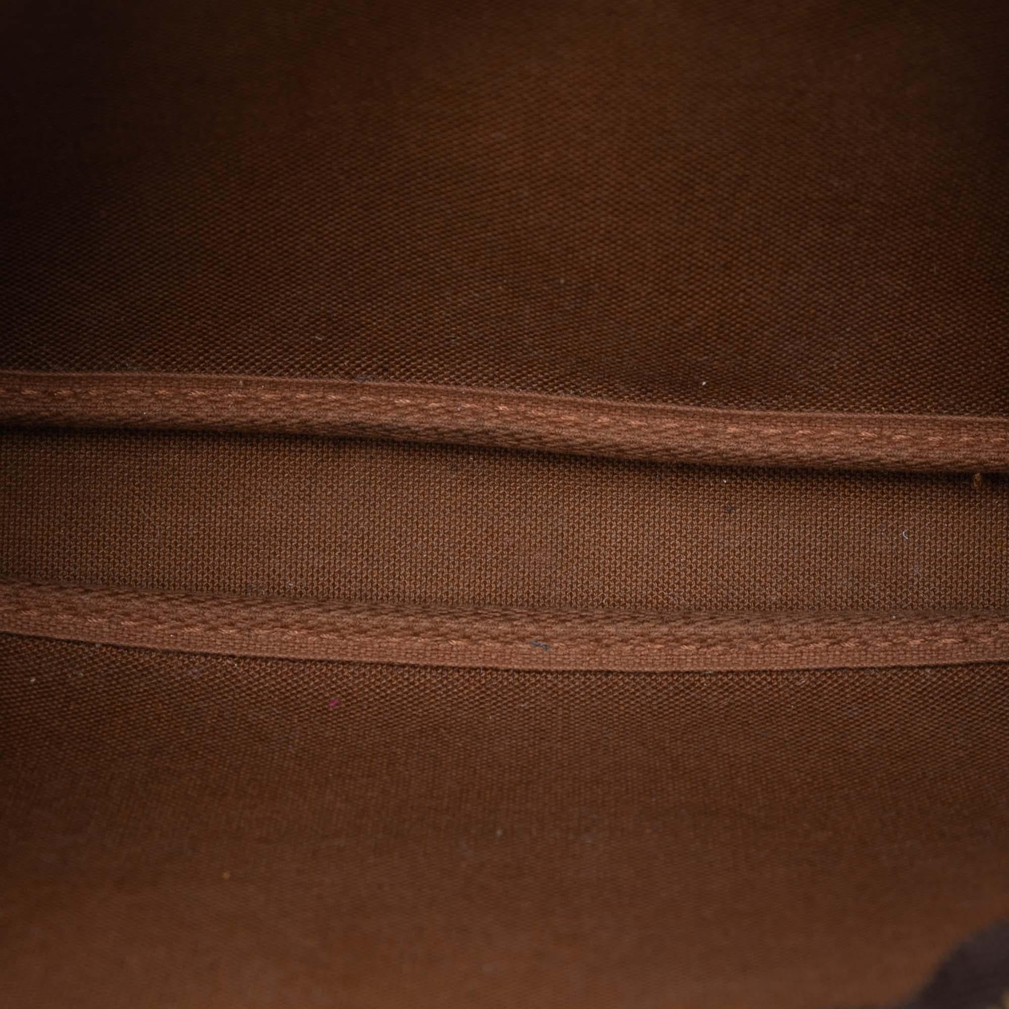 Louis Vuitton Monogram Pochette Accessoires