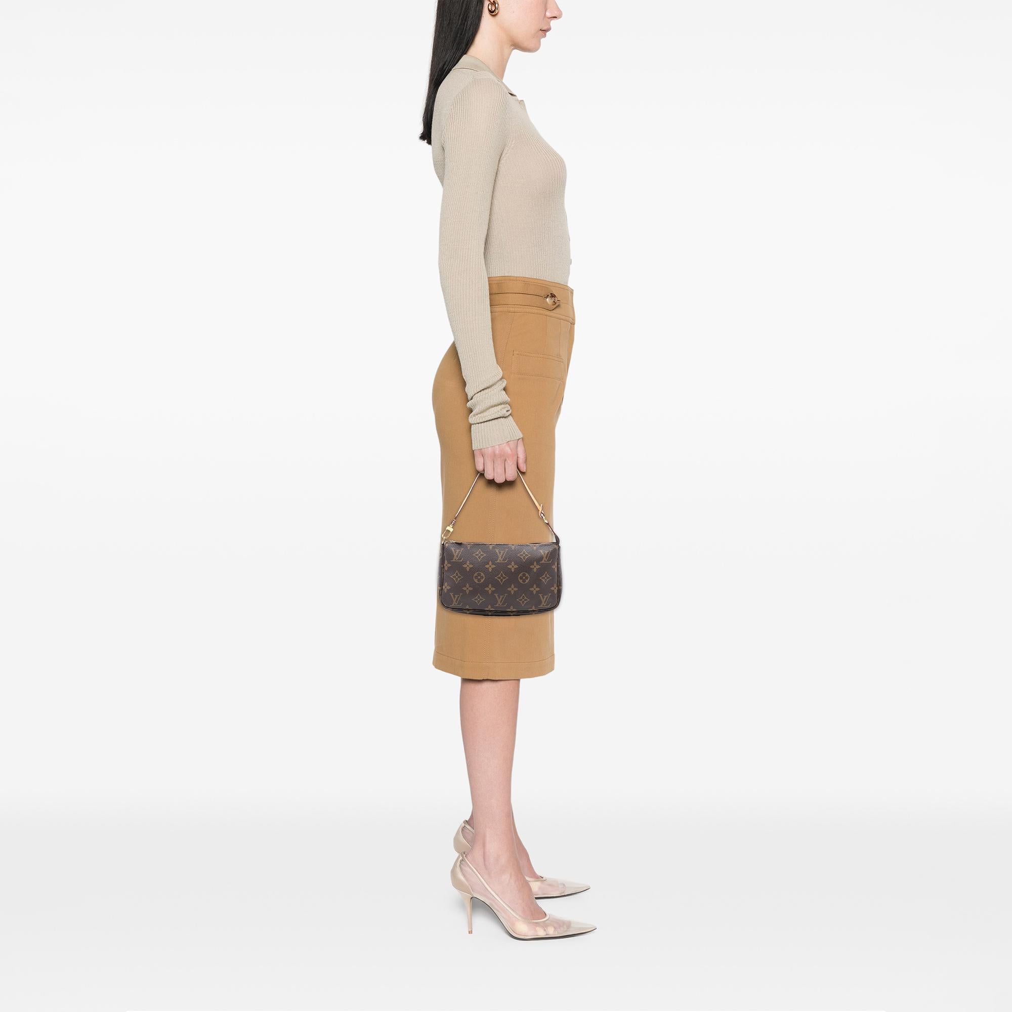 Louis Vuitton Monogram Pochette Accessoires