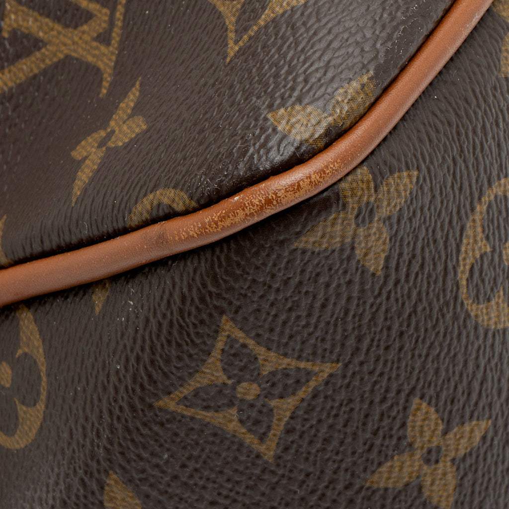 Louis Vuitton Reverse Monogram Dauphine MM Hobo