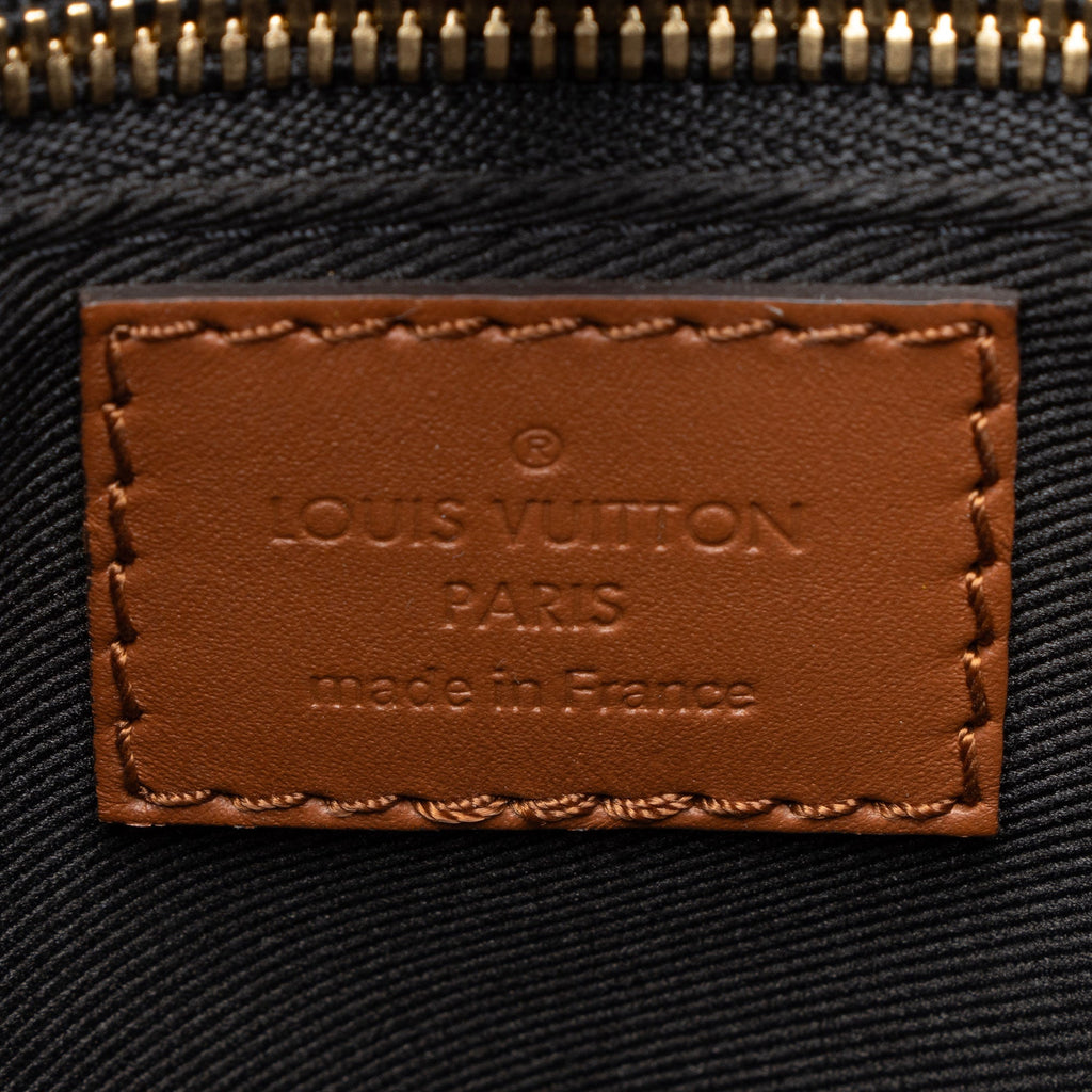 Louis Vuitton Reverse Monogram Dauphine PM Hobo