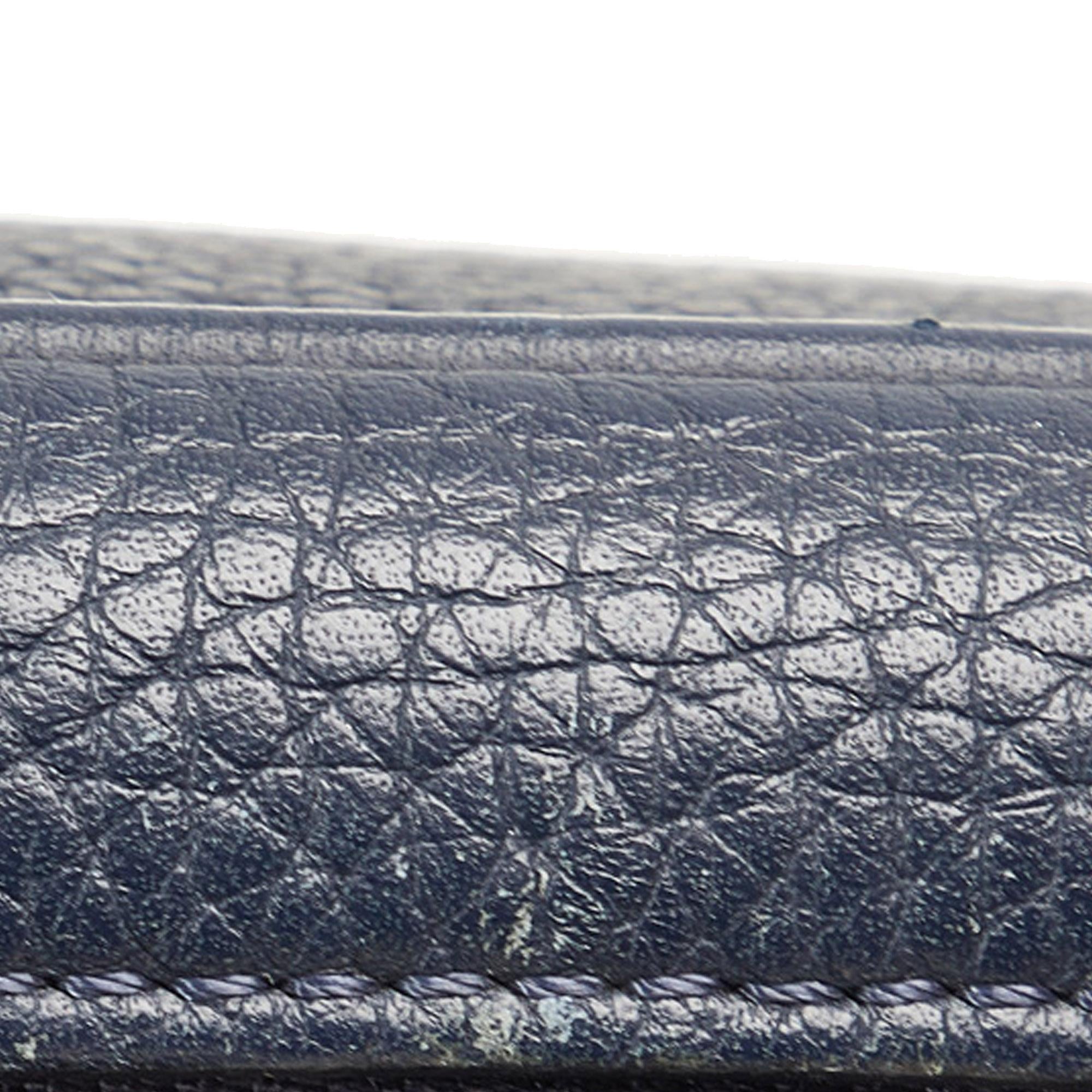 Louis Vuitton Taurillon Danube LV Circle  PM