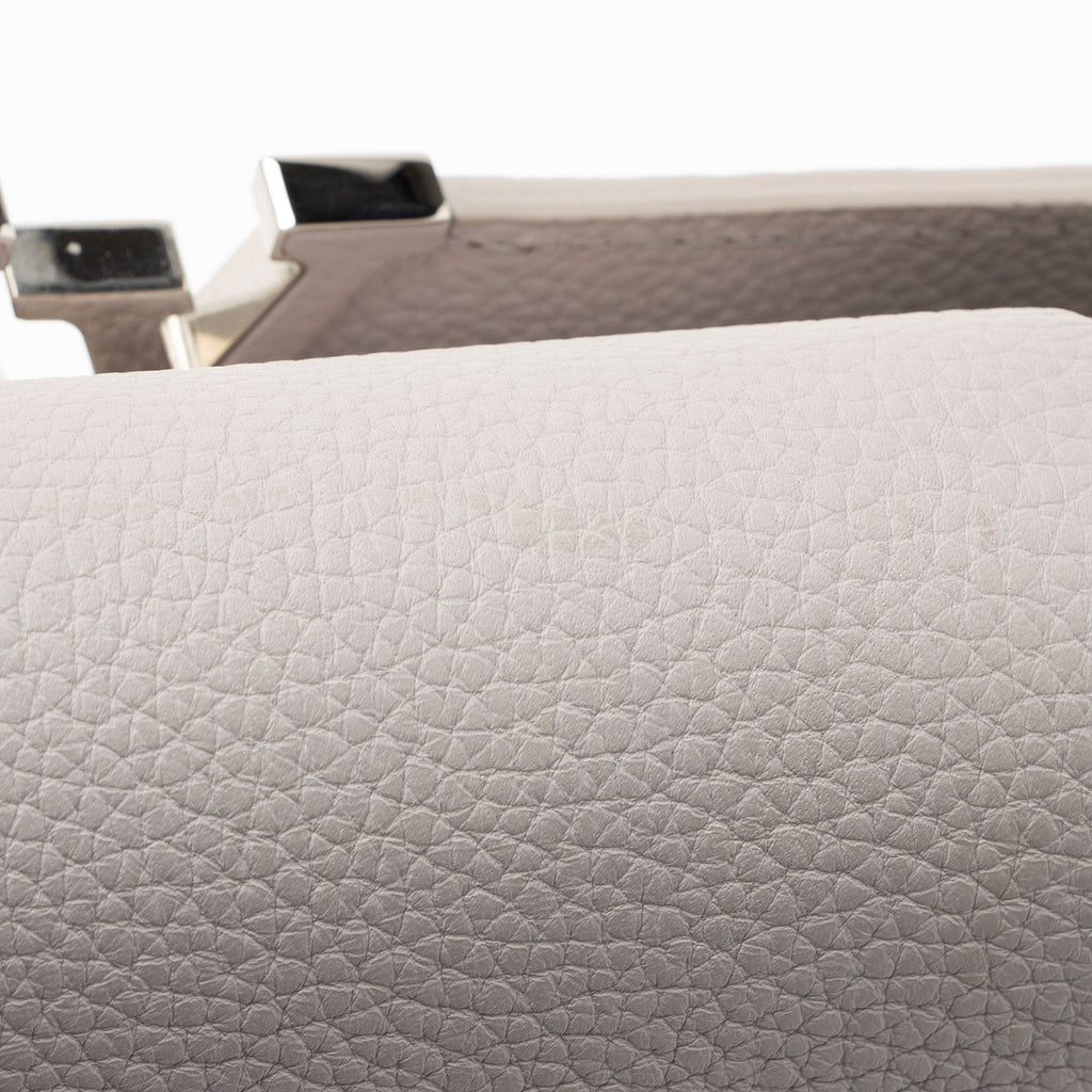 Louis Vuitton Taurillon Mechanical Flowers Capucines PM Bag