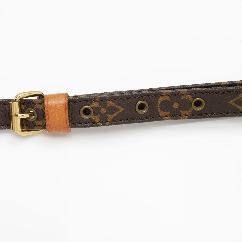 Louis Vuitton Vintage Monogram Canvas Amazone Shoulder Bag (SHF-zoC84k)