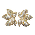 Dior Earrings