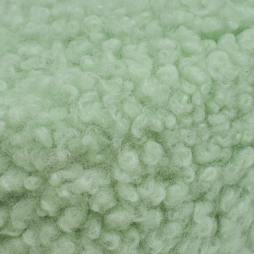 Miu Miu Green Shearling Mini Wander Handle Bag