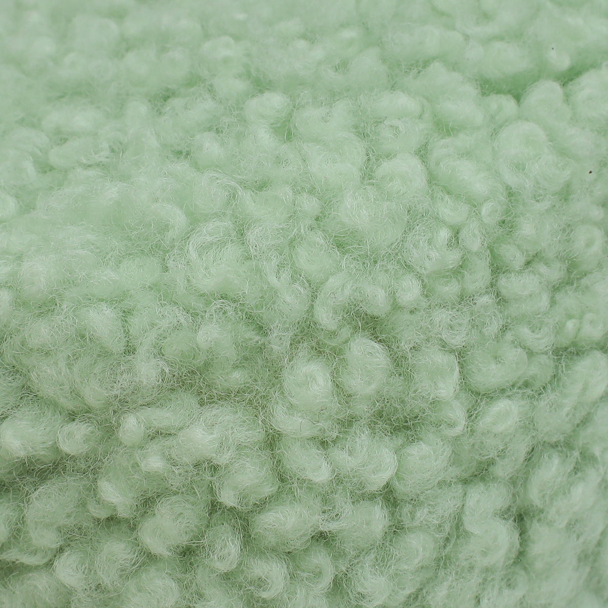Miu Miu Green Shearling Mini Wander Handle Bag