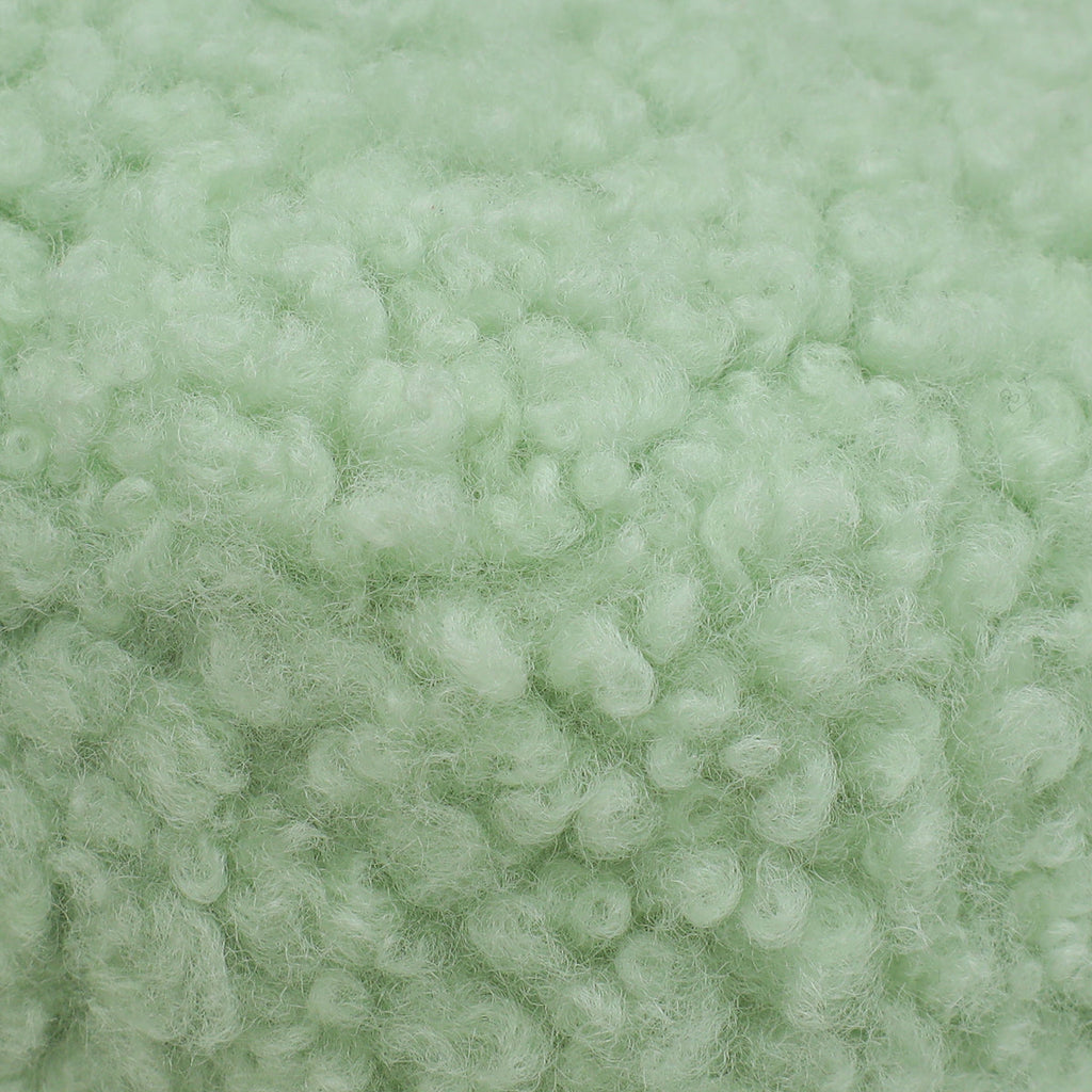 Miu Miu Green Shearling Mini Wander Handle Bag