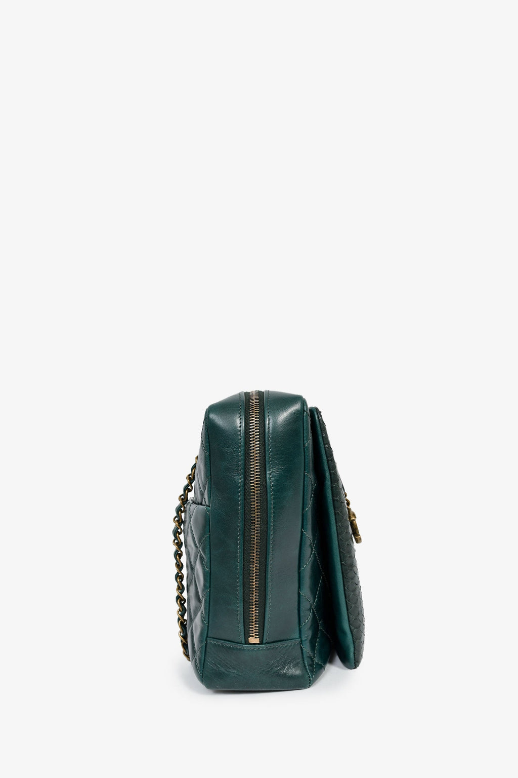 Chanel™ 2015-16 Green Leather/Python Urban Mix Tote