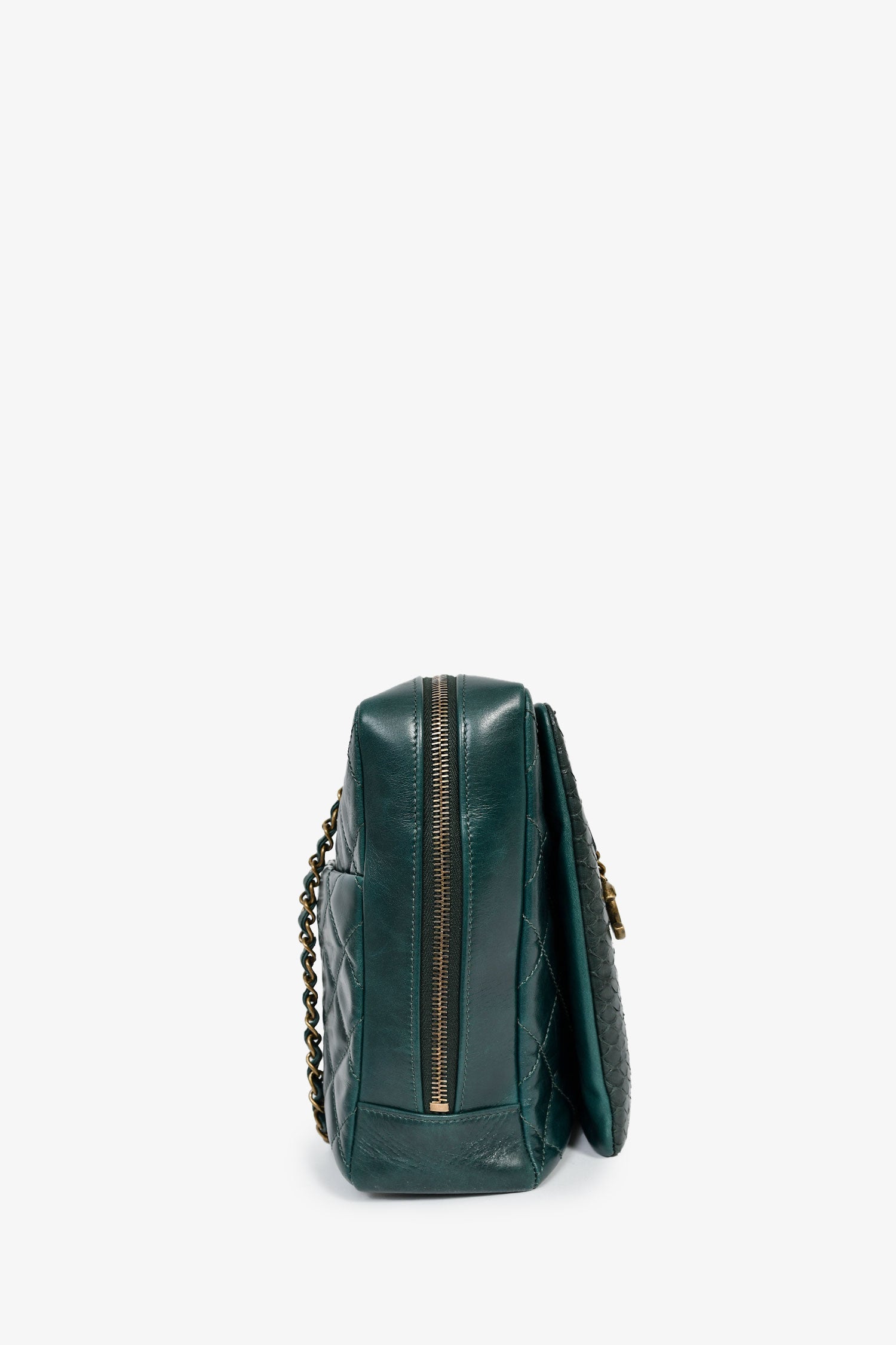 Chanel™ 2015-16 Green Leather/Python Urban Mix Tote
