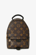 Louis Vuitton 2020 Monogram Palm Springs Mini