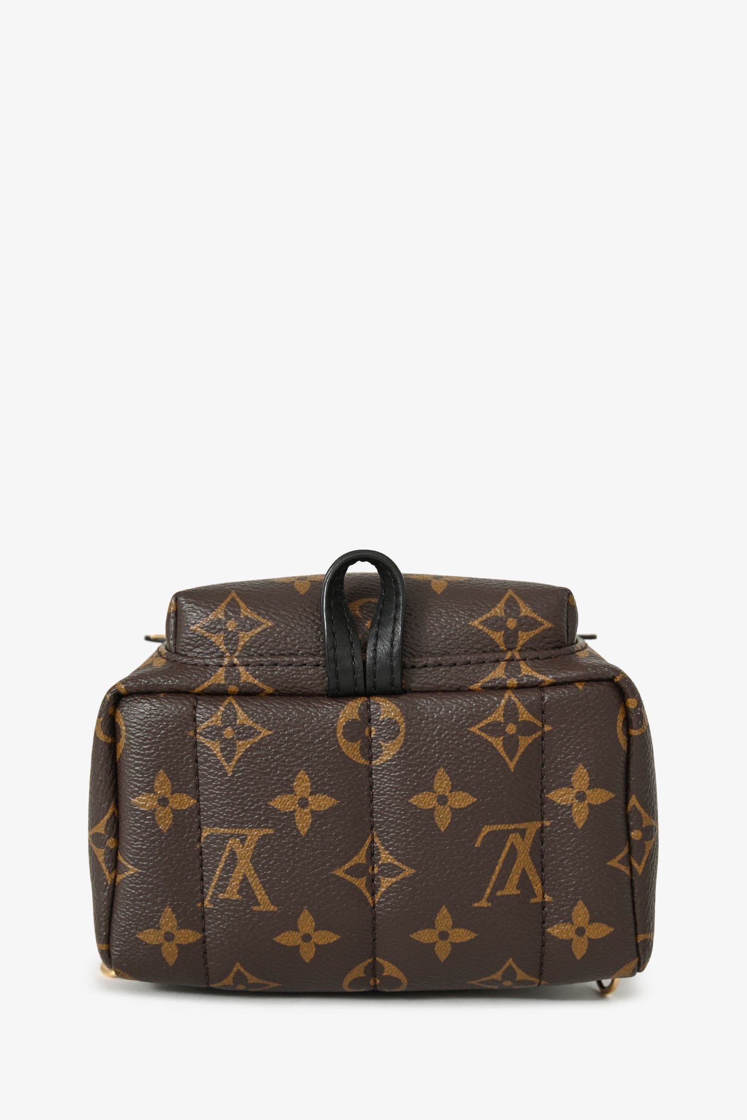 Louis Vuitton 2020 Monogram Palm Springs Mini
