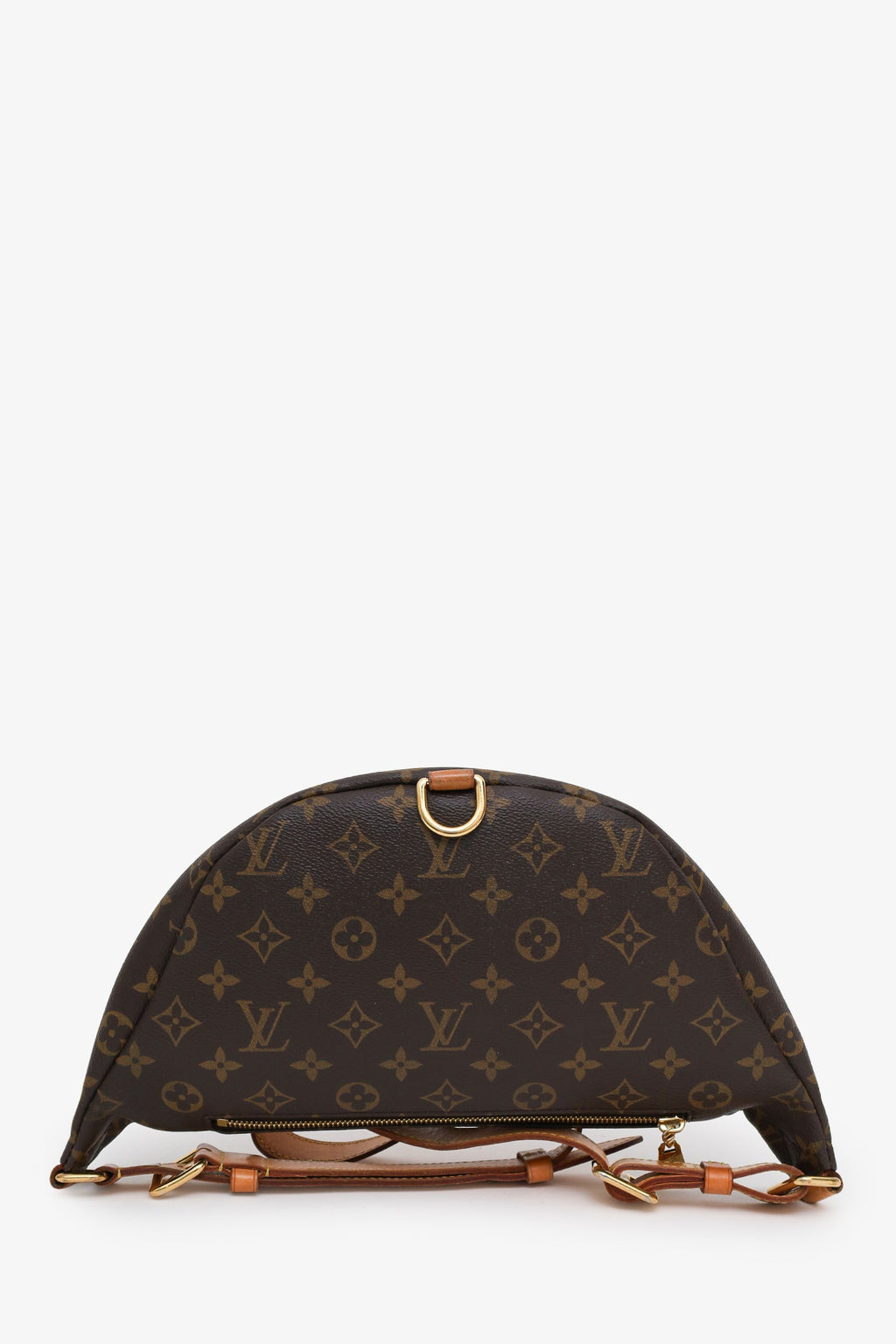 Louis Vuitton Monogram Bumbag MM