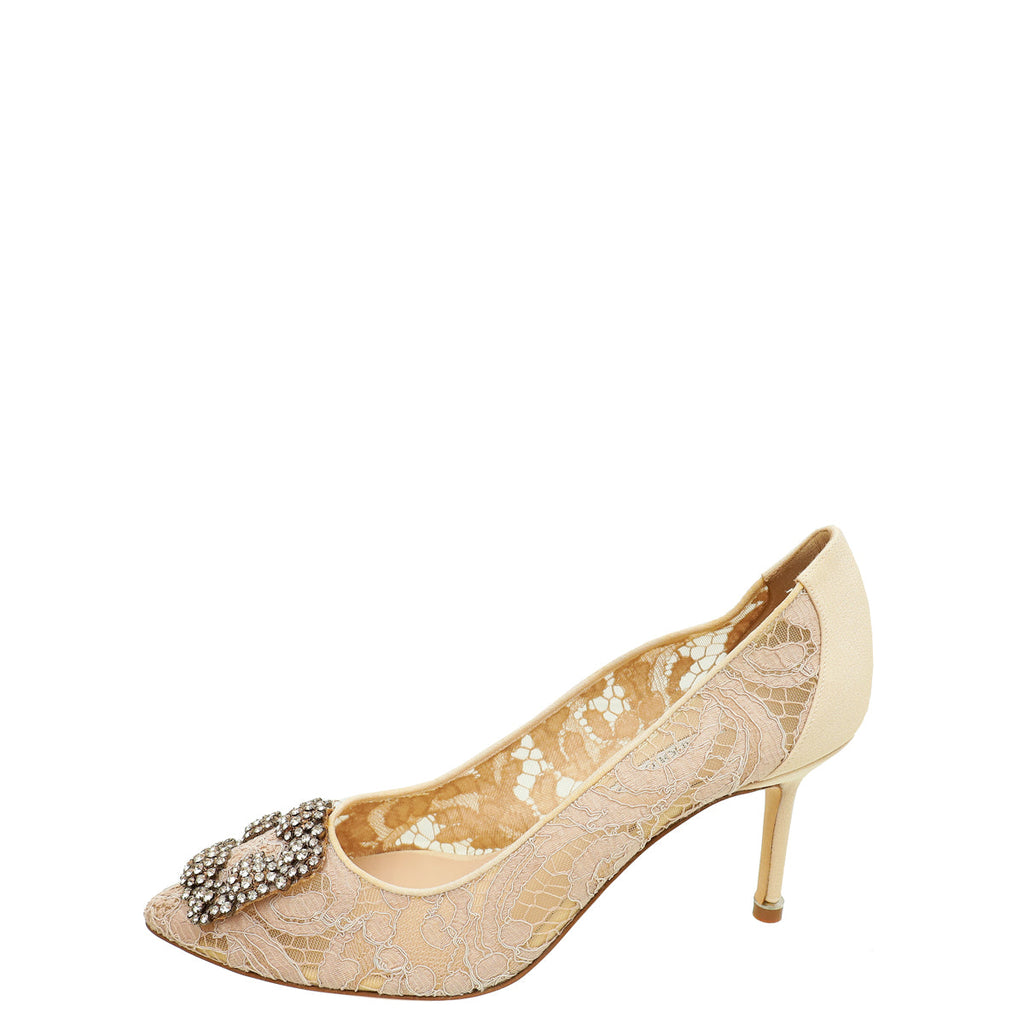 Manolo Blahnik Powder Nude Hangisi Lace Embellished Pump 39