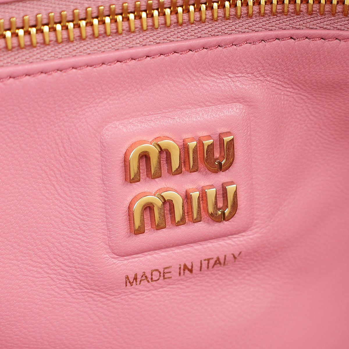 Miu Miu Petal Pink Beau Ayers Python Bag
