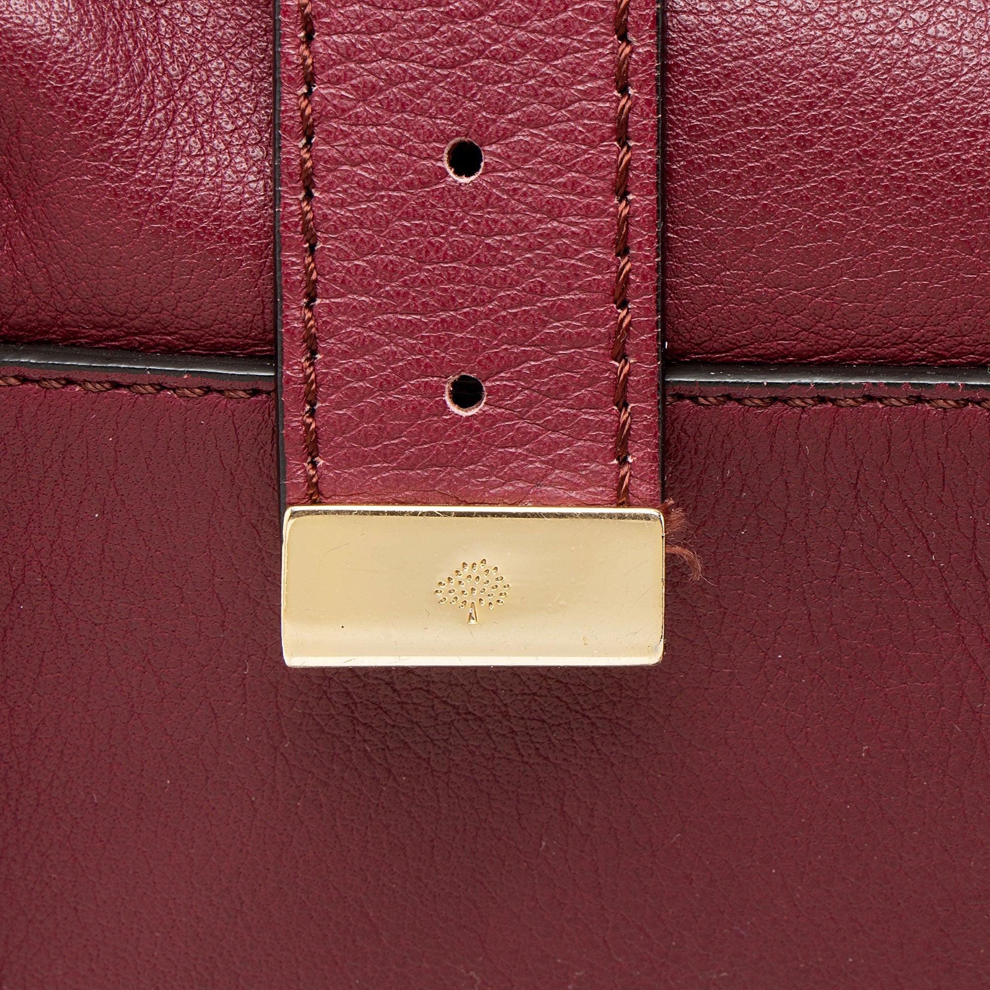 Mulberry Polished Buffalo Braided Alexa Small Crossbody