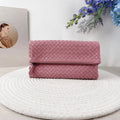 Bottega Veneta Women   Bag Very Good Condition