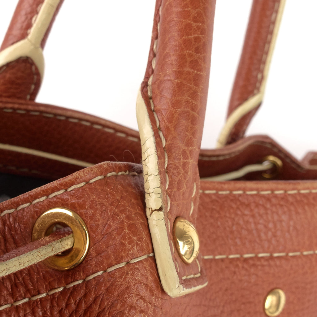 Louis Vuitto 'Trunks and Bags' Shoe Tobago Leather Tote Bag