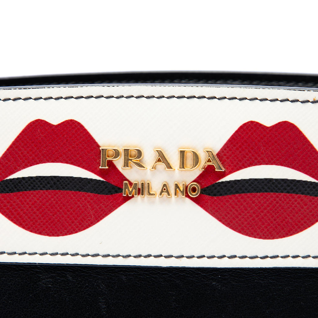 Prada City Calf and Saffiano Lip Print Esplanade Crossbody