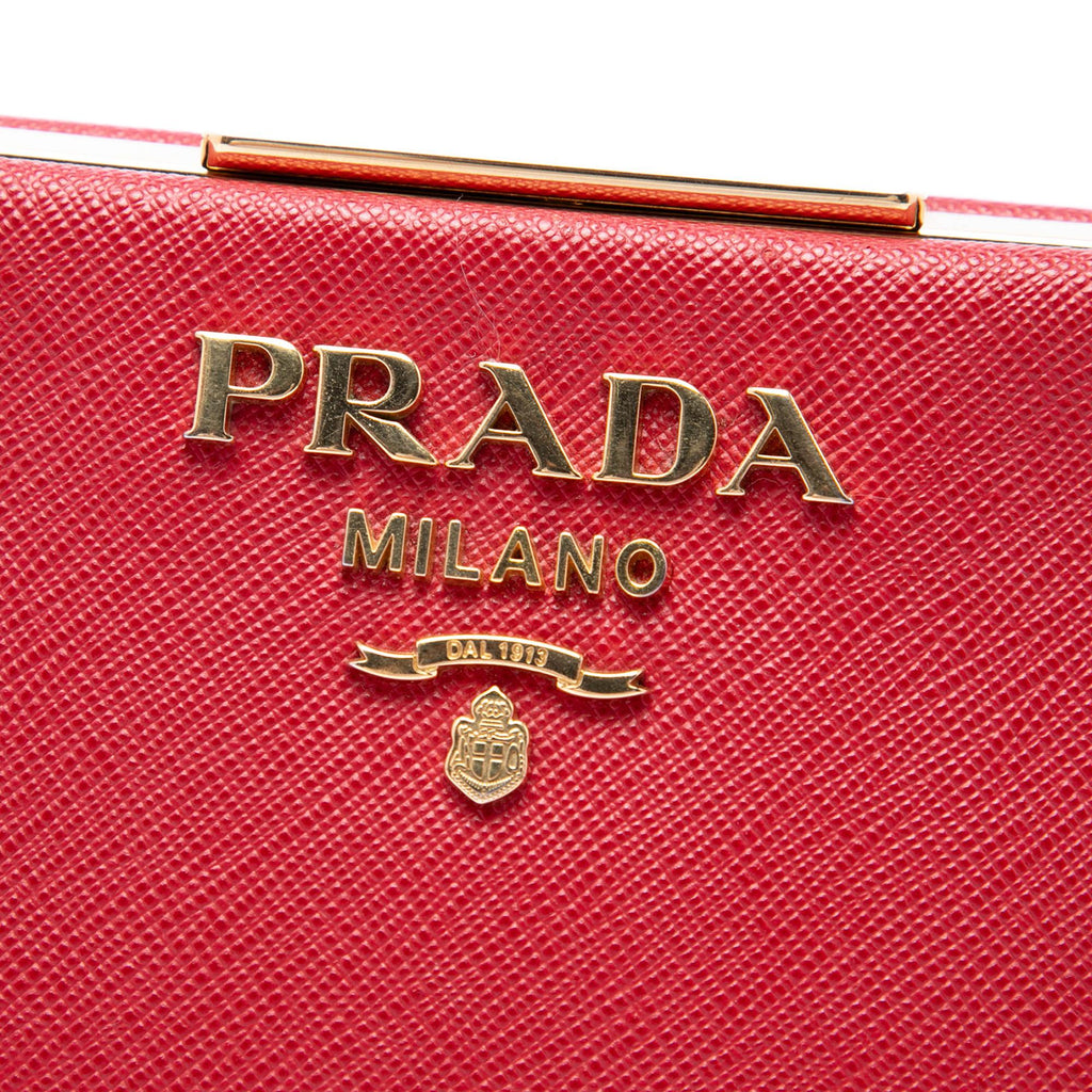 Prada Saffiano and City Calf Light Frame Crossbody