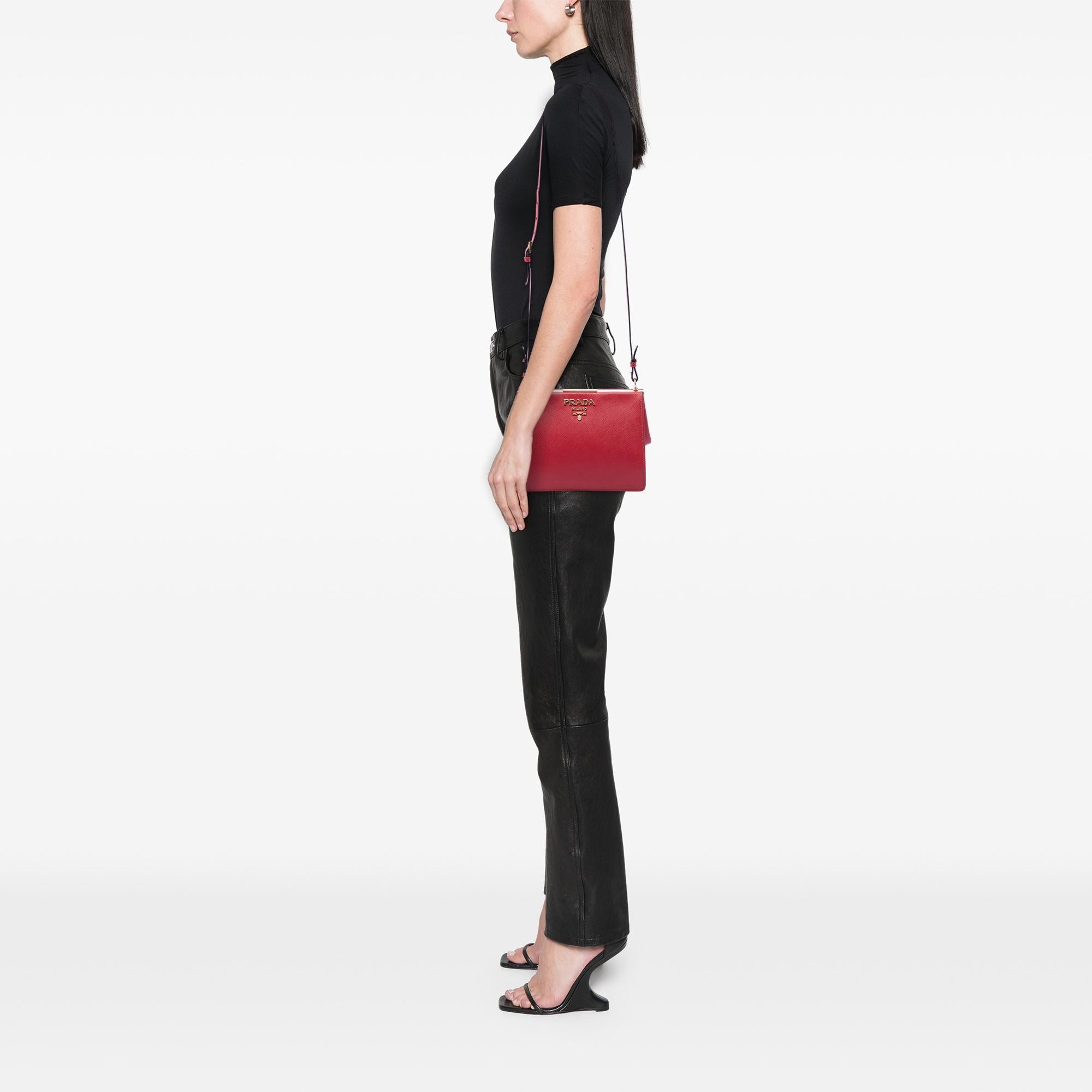 Prada Saffiano and City Calf Light Frame Crossbody