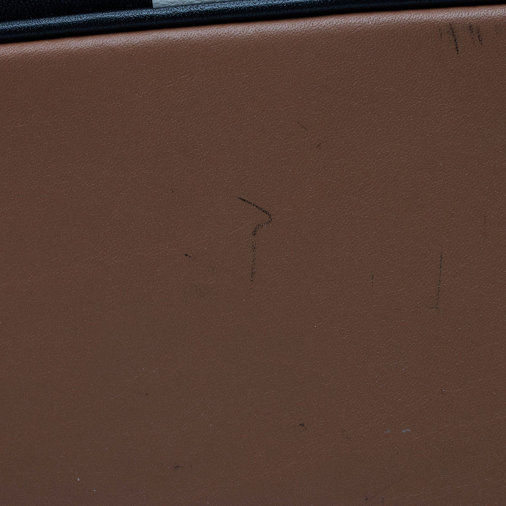 Prada Striped Calfskin Baiadera Frame Satchel (SHF-alSkQj)