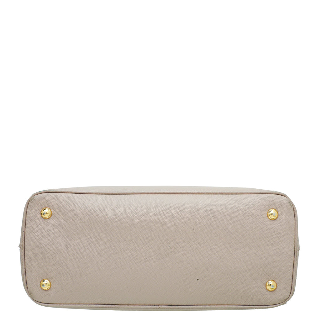 Prada Cammeo Lux Gardener's Small Bag