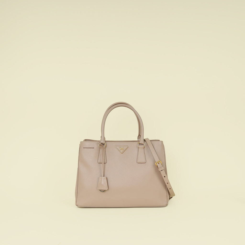 Prada Cammeo LuxGardener's Small Tote Bag