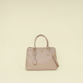Prada Cammeo LuxGardener's Small Tote Bag