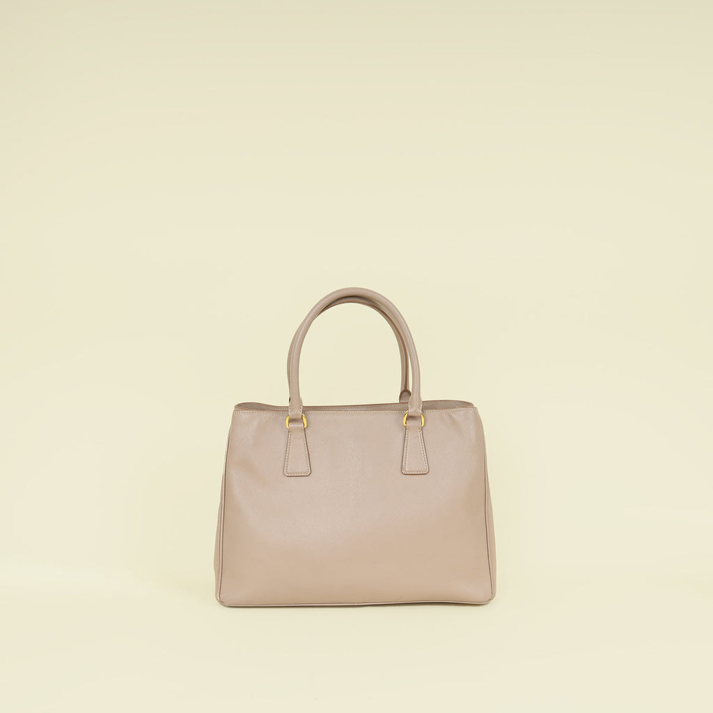 Prada Cammeo LuxGardener's Small Tote Bag